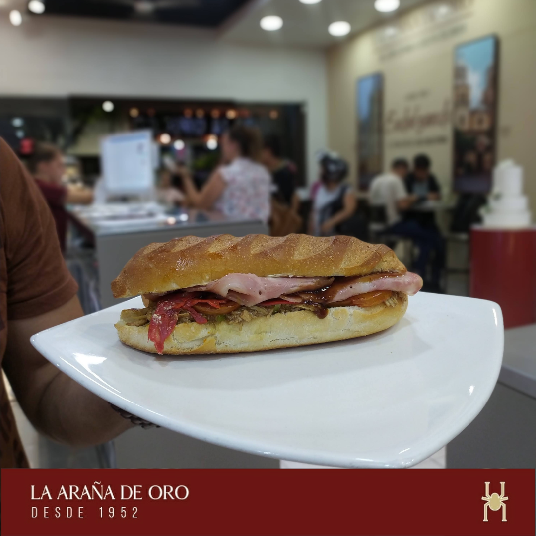 Segunda Imagen